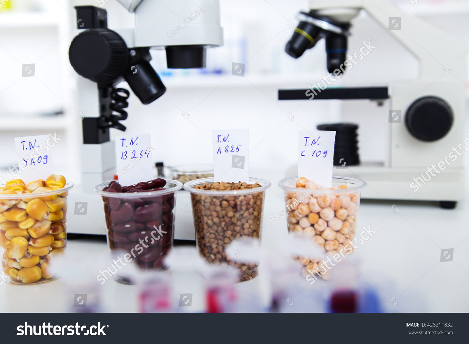 stockphotochemicallaboratoryofthefoodsupplyfoodinlaboratory